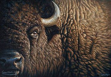 Tatanka - Buffalo, Bison by Jerry Ragg
