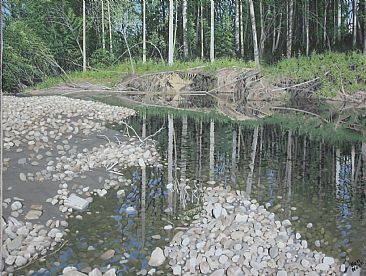 Reflections - Reflections on a slow moving creek in the Peace River area by Ken  Nash