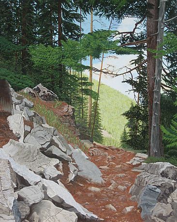 Fallen Rock Trail - Rough Trail near Canmore Alberta by Ken  Nash