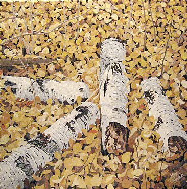 Birchwood - close-up fall scene by Ken  Nash