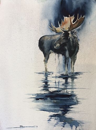 Moose study - Moose by Sandi Lear