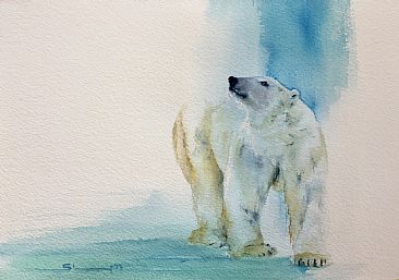 Polar Bear Study - Polar bear by Sandi Lear
