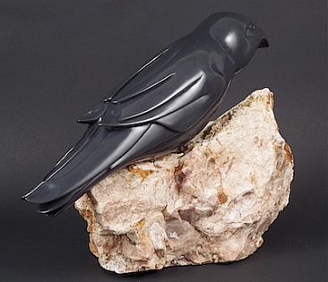 The Raven - A Raven at rest on its nest by Tony Mayo