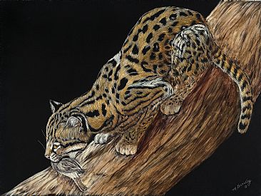 Lunchtime - Ocelot by Marcia Barclay