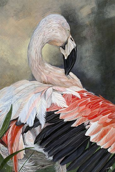 Fancy Feathers - Greater Flamingo by Cher  Anderson 