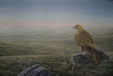 Bow Island Dusk - Golden Eagle by Colin Starkevich
