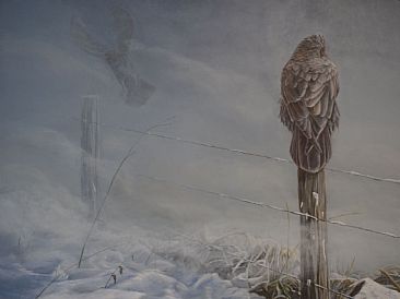 Winter Ravens - Raven by Colin Starkevich