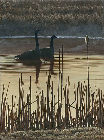 First Light I - Canada Geese by Frederick Szatkowski