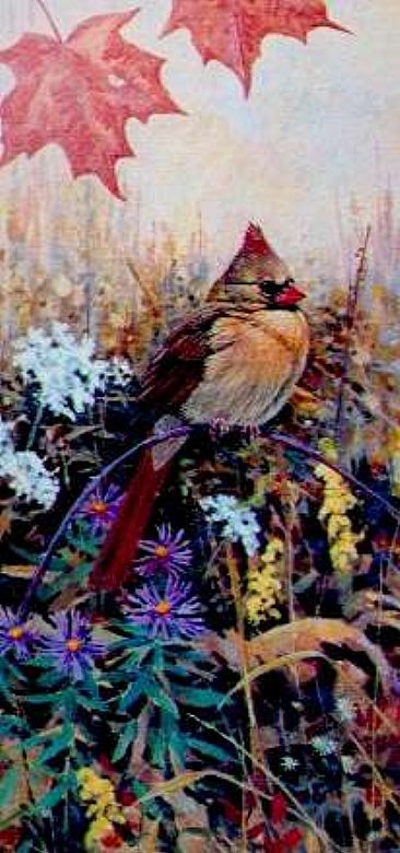 Rideau Flowers - Female Cardinal by Brenda Carter