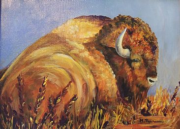 Old Faithful Bison - Resting Bison from Yellowstone by Maria Ryan