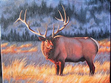Bull of the Woods - Elk by Bill Scheidt