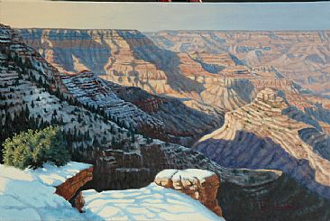 Canyon Shadows - The Grand Canyon by Bill Scheidt