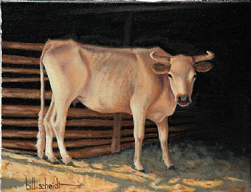 Contentment - Old skinny cow by Bill Scheidt