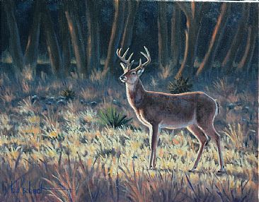 Crowning Light - Whitetail Buck by Bill Scheidt