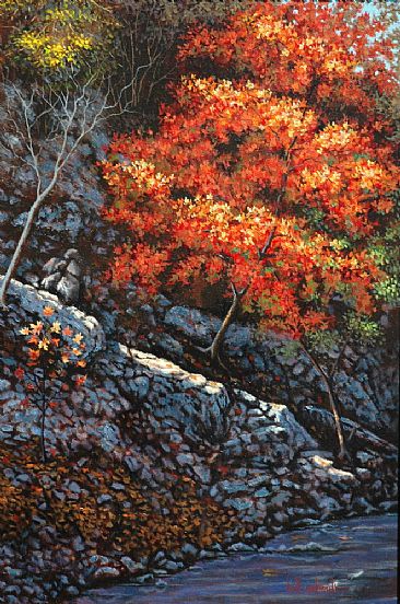 Maples on the Upper Cibolo - Big Tooth Maple trees by Bill Scheidt