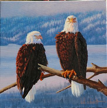 Proud Symbol - Bald Eagle by Bill Scheidt