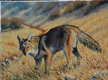 Strange Sound - Coyote by Bill Scheidt