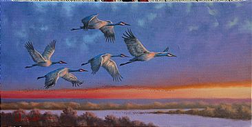 Winging It - Sandhill Cranes by Bill Scheidt
