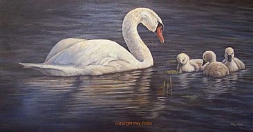 Morning Glory - Mute swans by Kay Polito