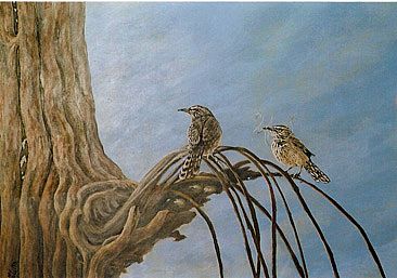 House Hunting - Birds - Cactus Wrens by Kay Polito