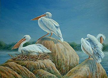 Lazy Afternoon - Birds - White Pelicans by Kay Polito