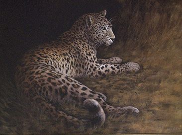Solitude - Cats - Leopard by Kay Polito