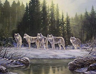Sundown on Wolf Creek - Wolves by Kay Polito
