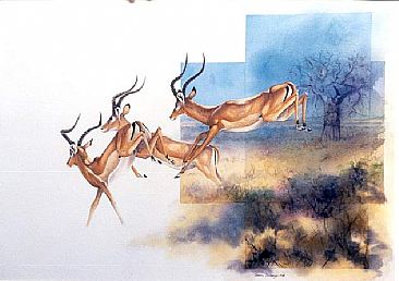 Leaping Impala - Impala by Sue Stolberger