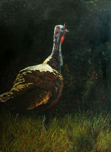 Ready to Run - wild turkey by Candy McManiman