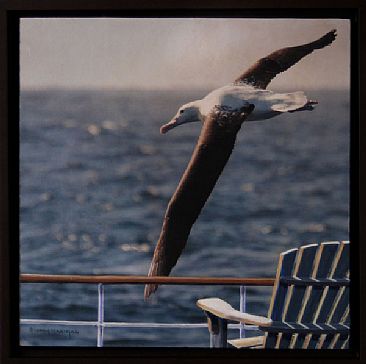 Royal Albatross -  by Candy McManiman