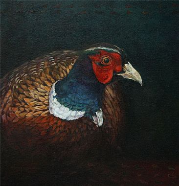 Pheasant Portrait - pheasant by Candy McManiman