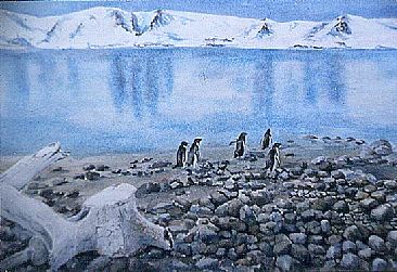 Adelie Penguins -King Georges Is. - Penguins by Candy McManiman