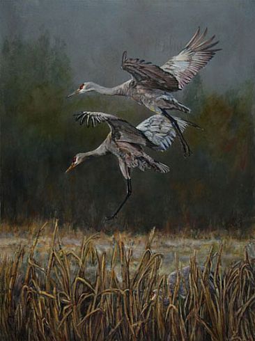 Cranes Landing - Sandhill Cranes by Candy McManiman
