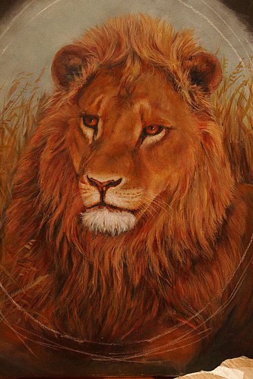 Lion - lion by Candy McManiman