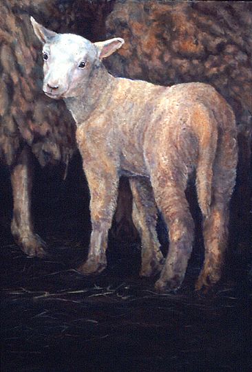 Young Lamb -  by Candy McManiman