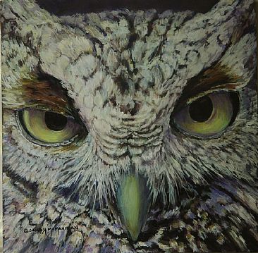 Screech Owl - Capturing the stare of a Screech Owl by Candy McManiman