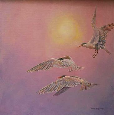 Terns and Hazy Sun - birds,terns by Candy McManiman