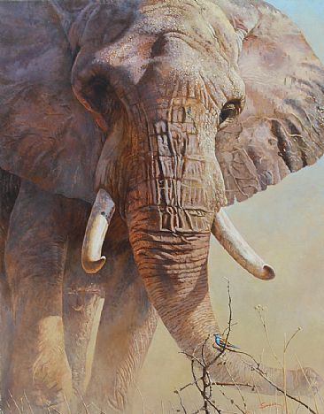 David y Goliat - Elephant by Eleazar Saenz