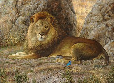 Your majesty - Lion by Eleazar Saenz