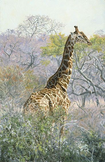 African Morning (SOLD) - Giraffe by Linda Besse