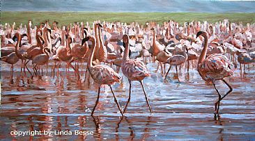 In the Pink - greater and lesser flamingos by Linda Besse
