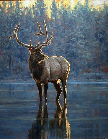 Mirrored - Elk by Linda Besse