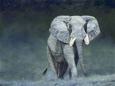 Night Patrol - Elephant by Linda Besse