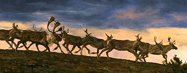 Rush Hour - Caribou by Linda Besse