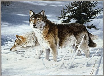 New Snow  - Wolves by Ron Orlando