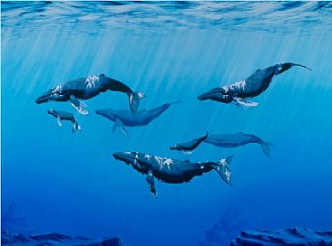 Light Play - Humpback Whales by Linda Herzog