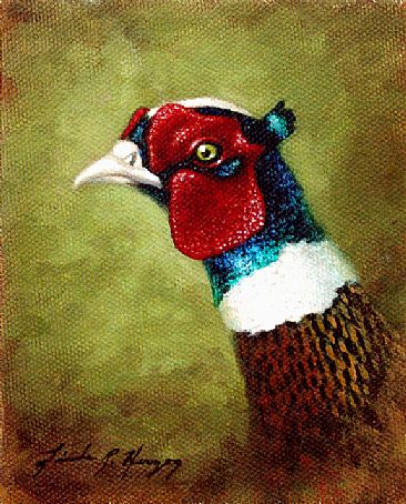 Excapee - Ringneck Pheasant by Linda Herzog