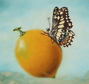 Lemon Fly By Fruitie - Detail - Lemon, butterfly by Linda Herzog