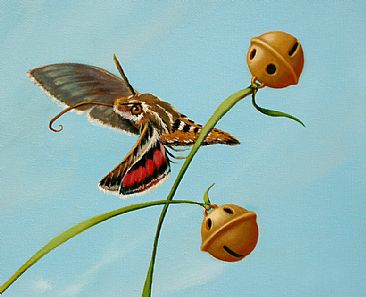 Moon Chasers Too - detail moth - hummingbird moth by Linda Herzog