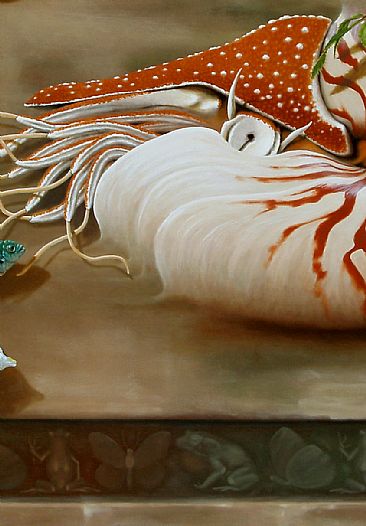 Nautilus - detail nautilus -  by Linda Herzog